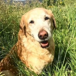 Meet your Posher, Cyndi